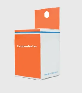 Wireless Mouse Ergonomic