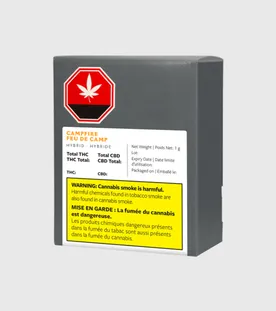 Ergonomic Office Chair